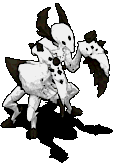 骨镰螳螂116968.gif
