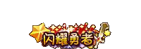 闪耀勇者.gif